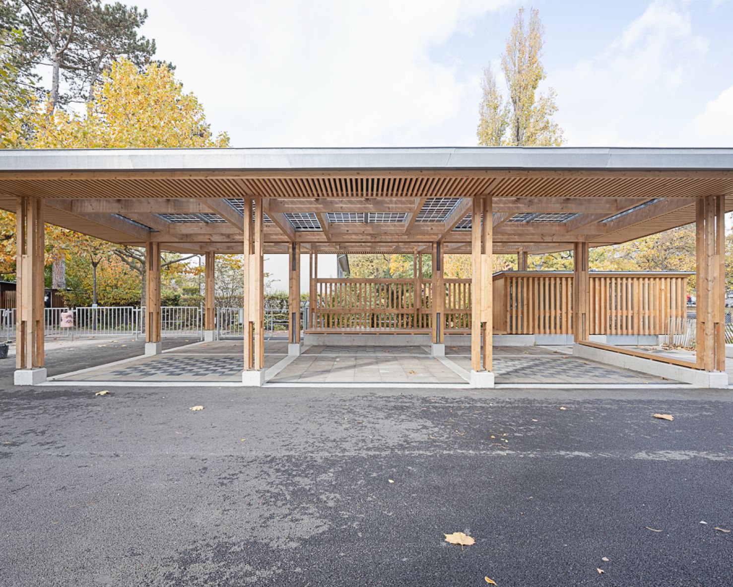 50154_MON_251030_light